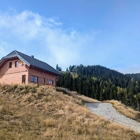 Hut In Bad St Leonhard With Barbecue * Klippitztorl