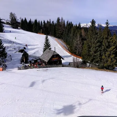 Hut In Bad St Leonhard With Barbecue Шале Klippitztorl