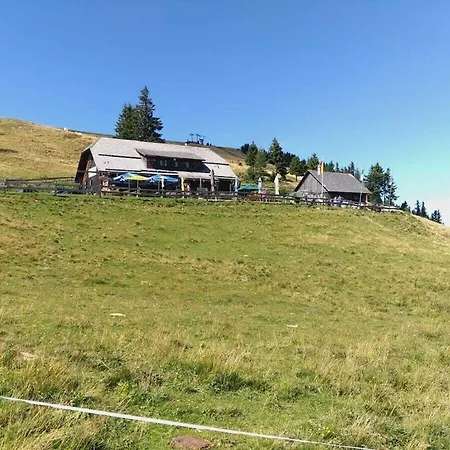 Hut In Bad St Leonhard With Barbecue * Klippitztorl